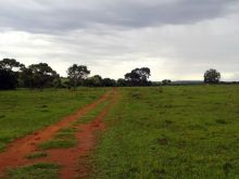 Fazenda 935 Hectares 30 Minutos de CG