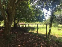 56 ha - 8km do asfalto - muita água - latossolo roxo