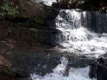 Chácara com 39 hectares a 14 Km de Campo Grande